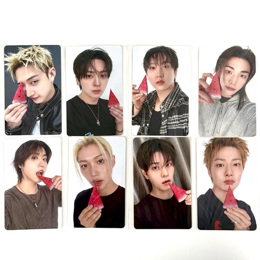 Stray Kids 'THIS & THAT' POB (FANS SHOP)